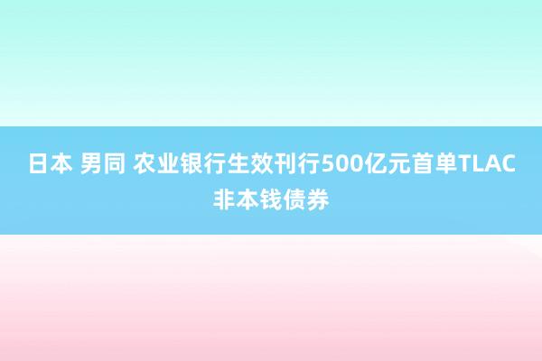 日本 男同 农业银行生效刊行500亿元首单TLAC非本钱债券