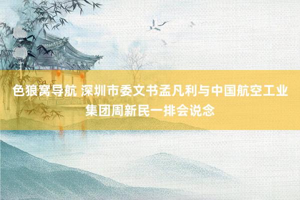 色狼窝导航 深圳市委文书孟凡利与中国航空工业集团周新民一排会说念