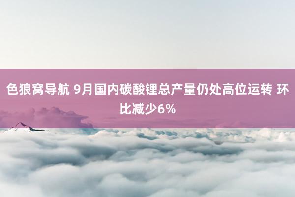 色狼窝导航 9月国内碳酸锂总产量仍处高位运转 环比减少6%