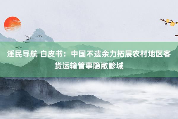 淫民导航 白皮书：中国不遗余力拓展农村地区客货运输管事隐敝畛域