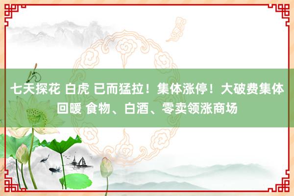 七天探花 白虎 已而猛拉！集体涨停！大破费集体回暖 食物、白酒、零卖领涨商场