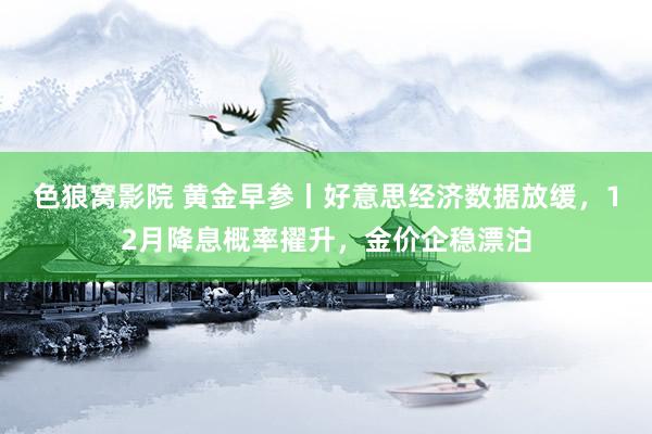 色狼窝影院 黄金早参丨好意思经济数据放缓，12月降息概率擢升，金价企稳漂泊