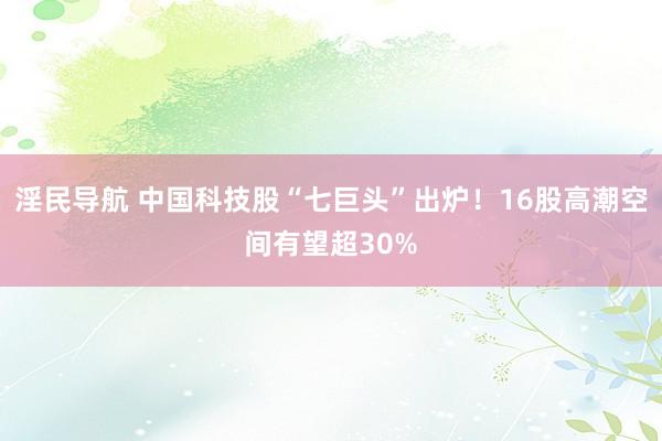 淫民导航 中国科技股“七巨头”出炉！16股高潮空间有望超30%